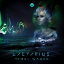 Lactarius - Tidal Wave