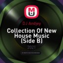 DJ Andjey - Collection Of New House Music (Side B)
