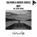 Dalphon, Hidden Tigress - Why (Gayax Remix)