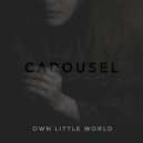 CAROUSEL - loneliness