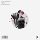 Dale Howard - Little Fizzer