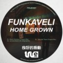 Funkaveli - Take Me There