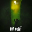 Palli - Она любит (Prod. By Concentracia)