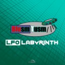 Blusm Tusm - LFO Labyrinths (Original Mix)