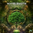 Wavelength - Temple Colliders