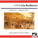 Radio Symphony Orchestra Ljubljana - Springtime Sonata - Sonata for violin and piano No. 5 in F Major, Op. 24: Rondo - Allegro ma non troppo