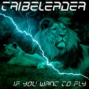 Tribeleader - IF YOU WANT TO FLY (Instrumental)
