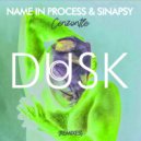 Name In Process & Sinapsy & Mr. Hack - Cenzontle (Mr. Hack Remix)
