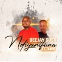 Deejay Soso & Zando - Ndiyanifuna (feat. Zando)