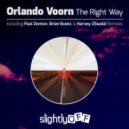 Orlando Voorn - The Right Way (Brian Busto Underwater on Acid Dub)