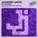 Junior Jack - Stupidisco