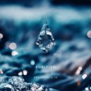 Andrey Kadyshevsky - The Deep Orchestra