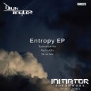 Dyn Taylor - Entropy