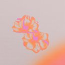 Dreamhome feat. Rosie Ugly, Hotel Pools - Mirrors