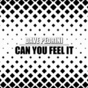 Dave Pedrini - Can You Feel It
