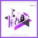 Gnarls Barkley - Crazy (Daniela Andrade Cover)
