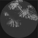 Ben Kaczor - Casia (Original Mix)