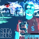 SugarBus - I know what it is
