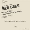 Bee Gees - You Stepped Into My Life