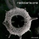 ralle.musik - Radiolaria.one