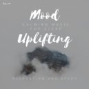 David Flavin/Roland Rudzitis - Reflections