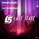 Ramin Arab - Peak Of Lust
