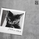 When Time Allows - I Will Follow You Into the Dark