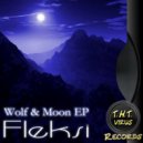 Fleksi - Cosmonaut ()