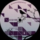 DJ SLY EKB - Lost ()