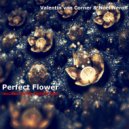 Valentin van Corner & Noel Neron - Perfect Flower Feat. Noel Neron