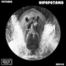 Potorro - Hipopotamo
