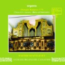 Walter Savant-Levet - Versetti concertati: Allegro (Second Version)
