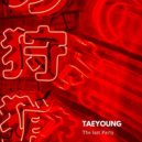 Taeyoung - The Last Party