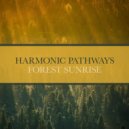Harmonic Pathways & Nature on Record - Forest Sunrise