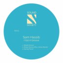 Sam Hassib - Spring Flavor