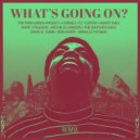 Randy Hall - Whats Going On