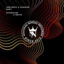 Tom Novy Ft. Chasing Kurt - Hypnotise