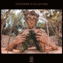 BluePaper - The Signal