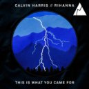 Calvin Harris & Rihanna vs. Merk & Kremont x Buzz Low - Do It This is What You Came For