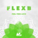 FlexB - Feel This Love