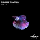 Gabriele D'andrea - Rebola