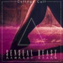 Van Derand feat. Dimi Kaye, Sunesis - You Say, You Say