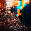Vadim Adamov & Hardphol ft. Endzhe - I Never Felt so Right