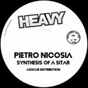 Pietro Nicosia - Synthesis Of A Sitar