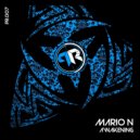 Mario N - Vague Rumors (Original Mix)
