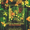 Tapesh, Frank Sonic - No One Knows
