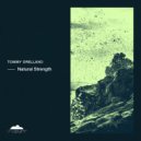 Tommy Orellano - Patagonian Cold