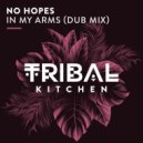 No Hopes - In My Arms
