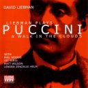 Dave Liebman & Vic Juris & Phil Markowitz & Caris Visentin & Larry Fisher - E Luce Van Le Stelle (From the opera 