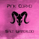 Pink Corxd - Salt Waterloo